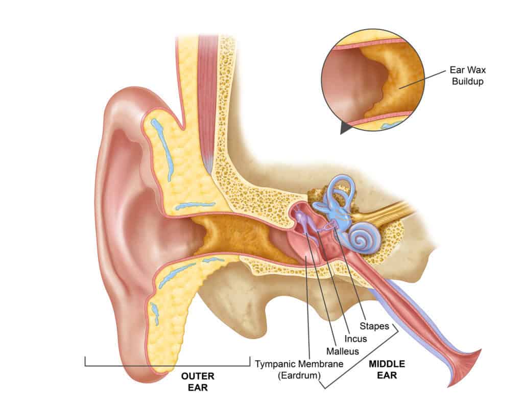 where does earwax come from